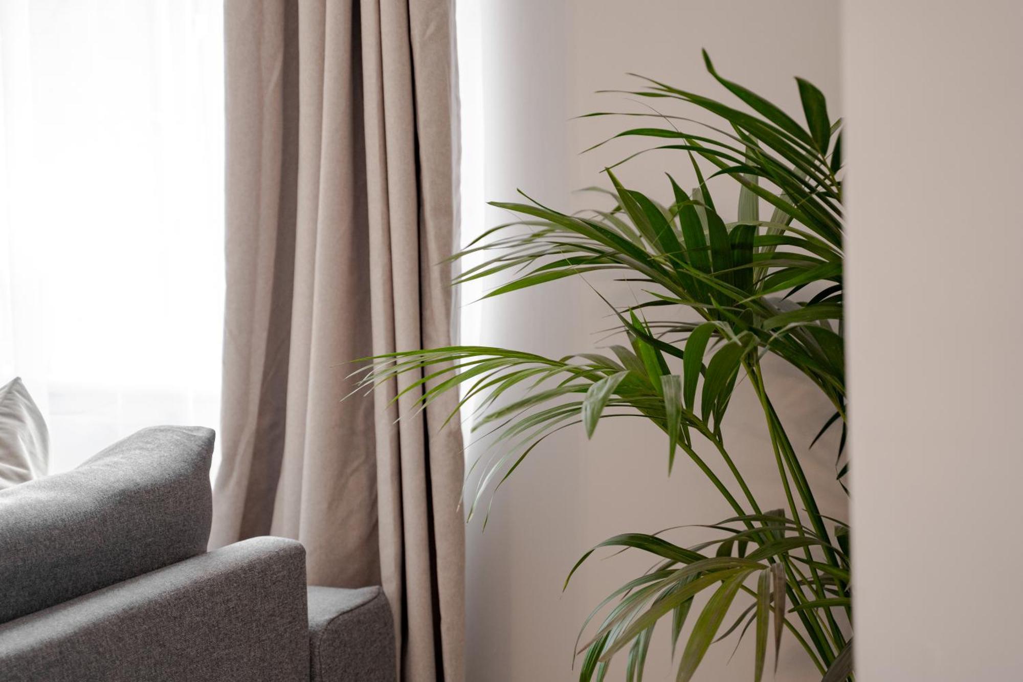 Stylish & Recently Refurbished Chester Apartment - Up To 6 מראה חיצוני תמונה